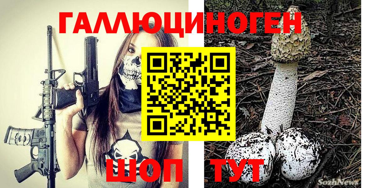 Грязи  Псилоцибиновые грибы прущие грибы  Вход с VPN 